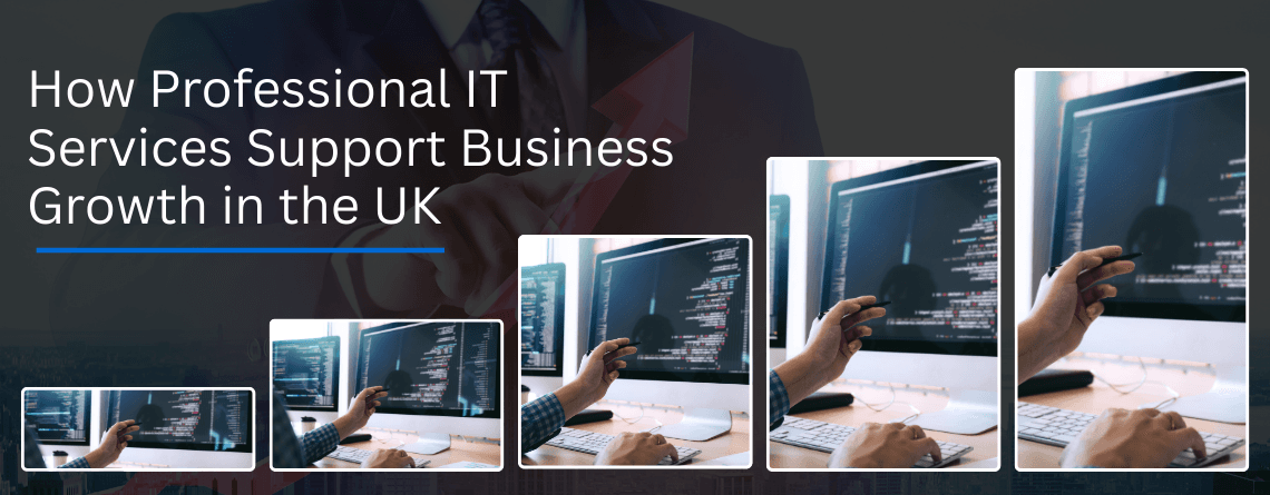Professional IT Services